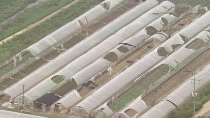 [현장영상] 이 시각 헬기에서 본 태풍 피해 현장 / YTN