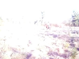 Indien Nono Léa Camille Clem et Mimi et Coquette 017