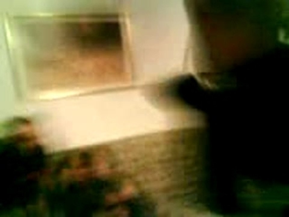 MOV00406