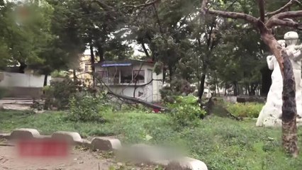 北, 태풍 피해 복구 돌입...비상회의·재난방송까지 / YTN