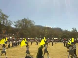 Flower Fest Field Display