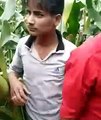 Jangal me mangal[1]