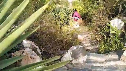 Jangal mein mangal Karte huye pr emi joda