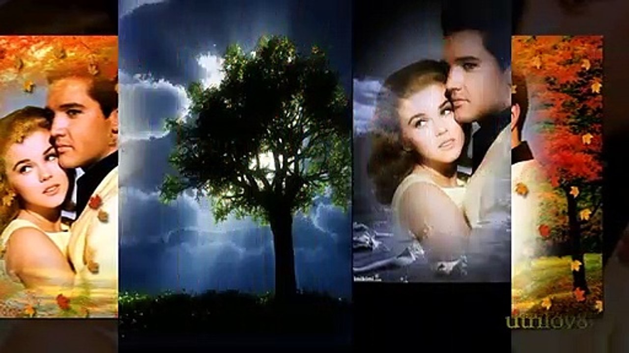 Elvis Presley - Singing Tree