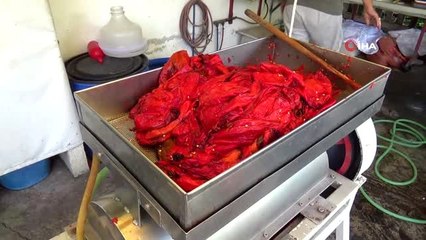 Kendi ürettiği makine ile salça fabrikalarına meydan okuyor