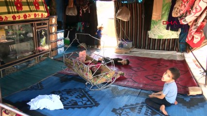 İdlib´den kaçanlar, Türkiye sınırındaki köylere yerleşiyor