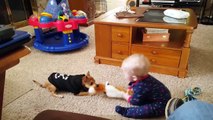 Funny Babies and Dogs are Best Friends - Fun and Fails Baby Video