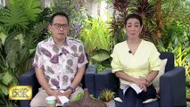 Dr. Rosario explains how mosquito fish species could fight the spread of dengue | Salamat Dok