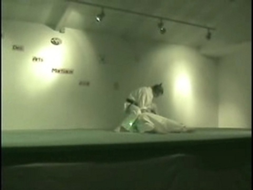 Démo nuit des arts martiaux shizendo karaté do