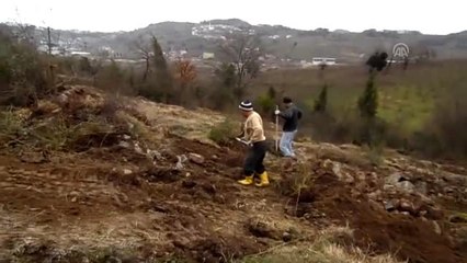 Descargar video: Kayalık araziyi tonlarca toprakla ceviz bahçesine çevirdiler