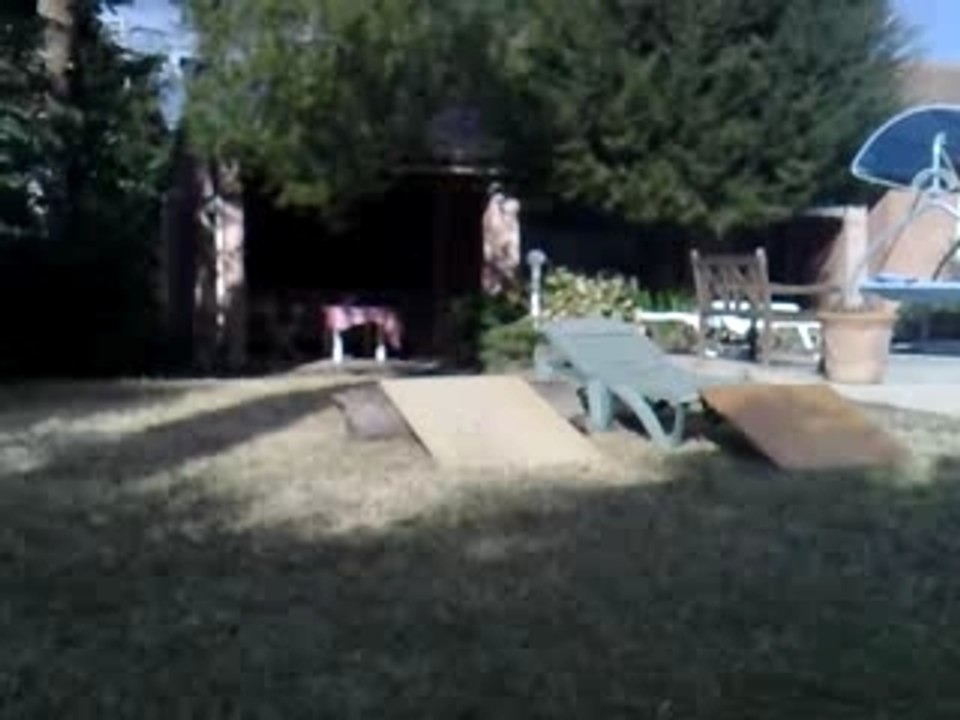 saut losi XXXT brushless