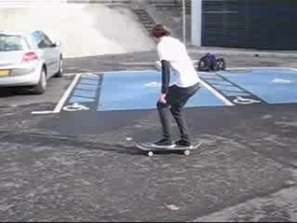 Perfect fakie flip