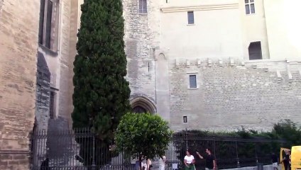 Avignon