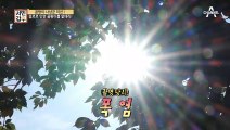 [선공개] 곰팡이 원.천.봉.쇄. 갑부만의 단열 시공 비법 대공개!