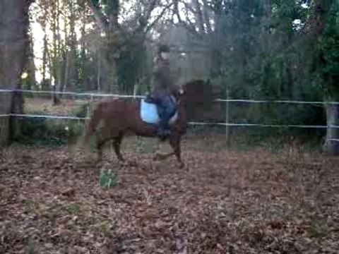 Coquette et indien 072