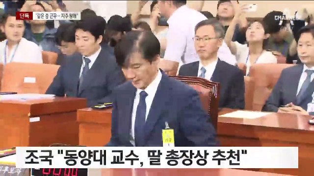 [단독]“조국 딸 추천인은 미술 전공 교수…권한 없다”