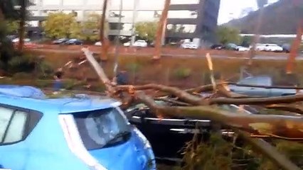 Surprise On Highway - Driving In the Rain