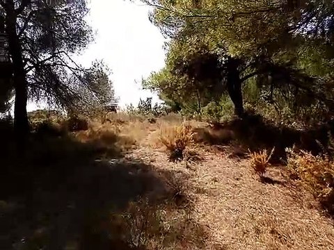 400m2 de broussailles partent en fumée à Saint-Victoret