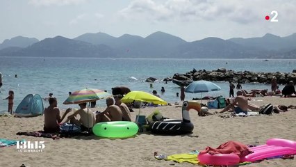 "Super-héros ? Ça m'étonnerait", disait de lui le pilote de Tracker Franck Chesneau, mort au feu le 2 août 2019