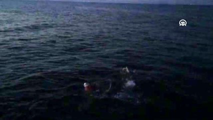 Çocuk istismarına tepki için yüzdüler - MUĞLA