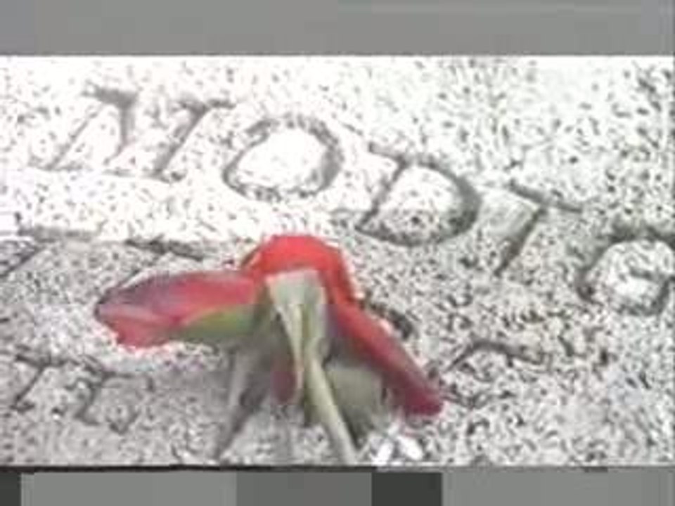 zaniboni