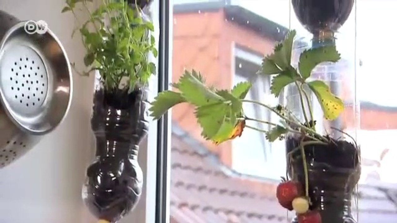 Bikin Pot dari Botol Plastik