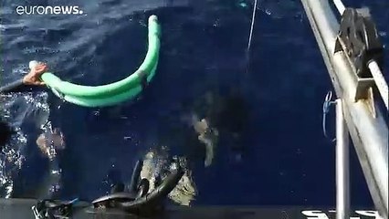 Morgan Bourc'his lucha por volver a ser campeón mundial de apnea