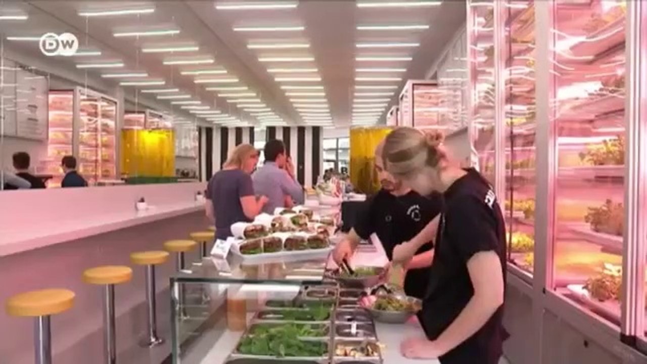 Restoran Kebun Vertikal
