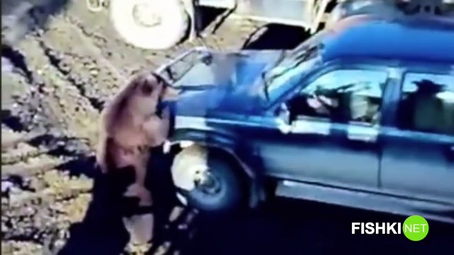 Человек против медведя