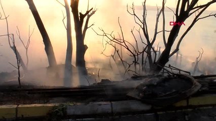 Beylikdüzü'nde otluk alanda yangın; 650 kümes hayvanı öldü -2