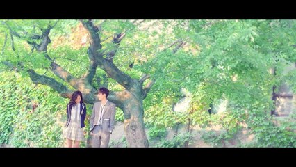 SEVENTEEN(세븐틴) - 만세(MANSAE)