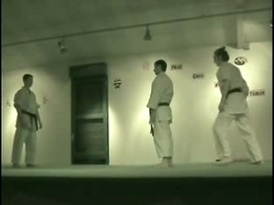 Démonstration de self défense Shizendo nuit LM