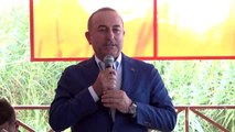 Çavuşoğlu: 