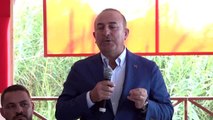 Çavuşoğlu: 