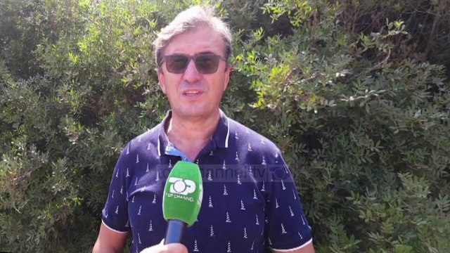 Shifra alarmante për sezonin turistik, 1256 përplasje mjetesh