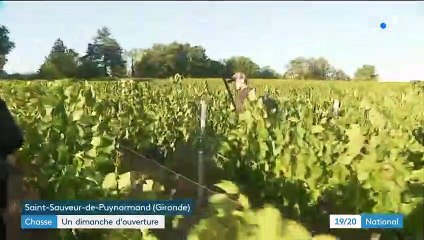 Chasse : ouverture de la saison dimanche