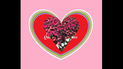 The garden of your love, is full of beautiful flowers and roses! [Quotes and Poems]