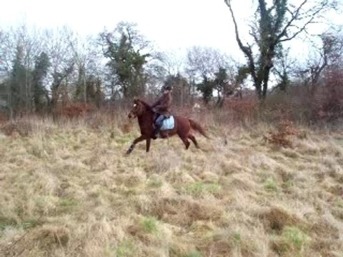 Indien Nono Léa Camille Clem et Mimi et Coquette 011