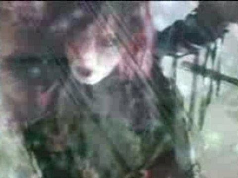 Rentrer En Soi - Sincerely-by Dark moon soul