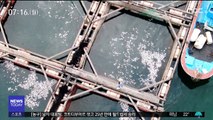 바다도 태풍 '치명타'…양식장 집단 폐사·유실