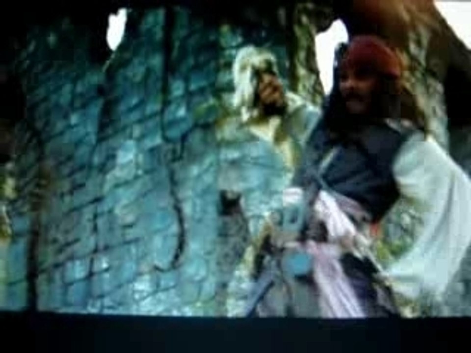 Primates des caraibes 4