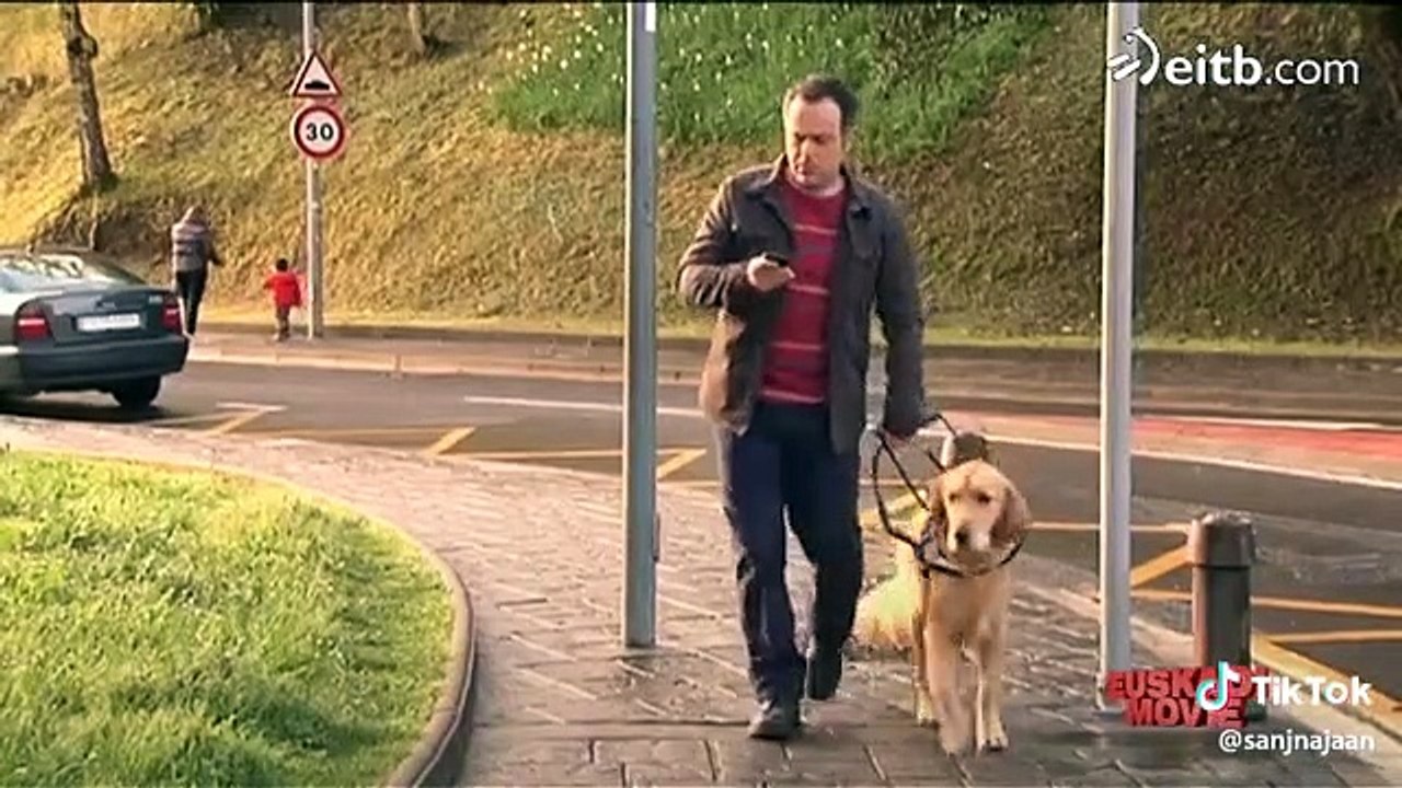 El perro smartphone