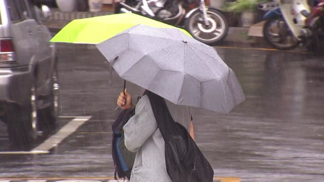 [날씨] 태풍 이어 가을장마...내일까지 중부 100mm 호우 / YTN