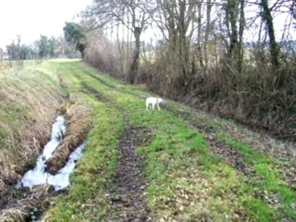 Cocaïne et l'eau