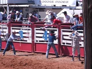 Strawberry Festival/Rodeo