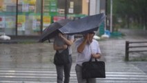 Decenas de heridos y muchos hogares sin luz en Japón por el paso de tifón