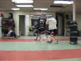 mixed martial arts training 1