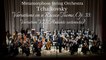 Metamorphose String Orchestra - Tchaikovsky - Variations on a Rococo Theme, Op. 33: Variation VII