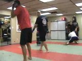 mixed martial arts training 2