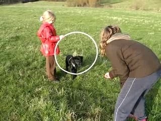 cisko apprend à sauter.................